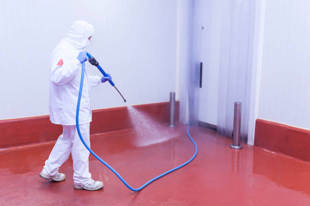 Best Paint Preparation  in Lowry Crossing, TX