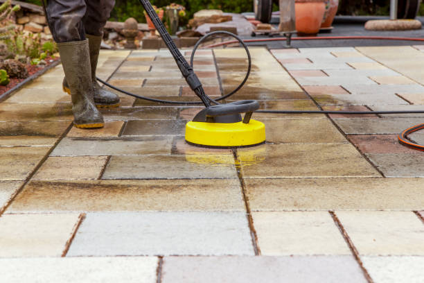 Best Solar Panel Cleaning  in Lowry Crossing, TX